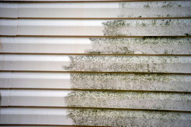 Affordable Siding Repair and Maintenance Services in Shiremanstown, PA